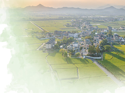 集体经济（人民眼·乡村全面振兴）冰球突破技巧经理人如何盘活农村(图2)